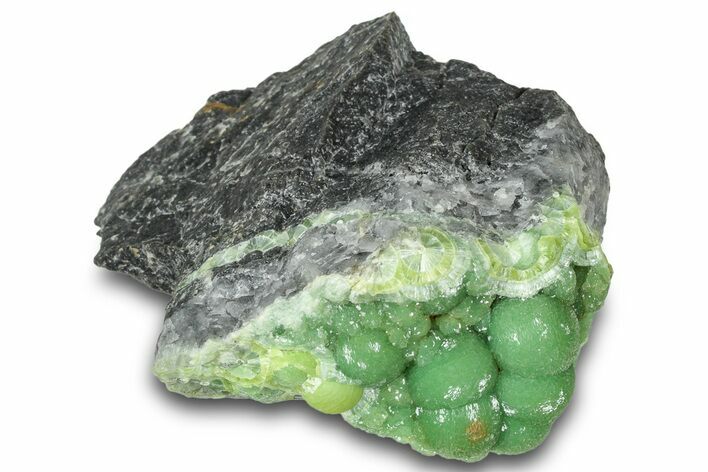 Sparkly Botryoidal Green Wavellite Formation - Arkansas #320544